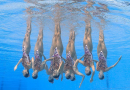 China gana cuarto oro en natación artística en Mundial de FINA