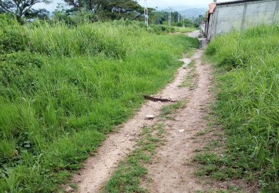Alerta! Preocupados habitantes de La Popita por presencia de grandes serpientes 
