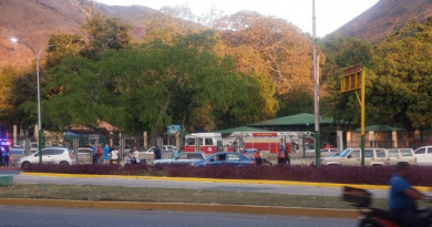 Un muerto y cinco heridos por caída de un árbol en Zoológico de Maracay