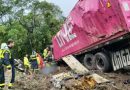 Nueve miembros de un equipo de remo mueren en accidente en carretera de Brasil