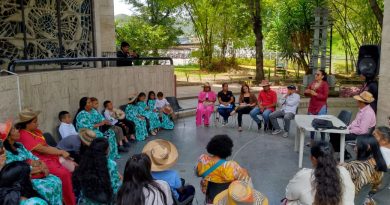 Los Nichos Etnolíngüísticos es la defensa de los idiomas indígenas Los Nichos Etnolíngüísticos es la defensa de los idiomas indígenas