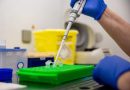 Hantavirus: la OMS eleva a 6 los casos confirmados tras el positivo de un contagio sospechoso Hantavirus: la OMS eleva a 6 los casos confirmados tras el positivo de un contagio sospechoso