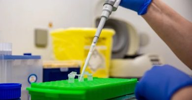 Hantavirus: la OMS eleva a 6 los casos confirmados tras el positivo de un contagio sospechoso Hantavirus: la OMS eleva a 6 los casos confirmados tras el positivo de un contagio sospechoso