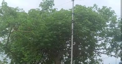 Falleció electrocutado niño cuando jugaba en el Chivo