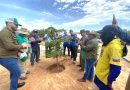 Inicia Plan de Reforestación Chuquisaca en el Zulia con el establecimiento de mil árboles autóctonos Inicia Plan de Reforestación Chuquisaca en el Zulia con el establecimiento de mil árboles autóctonos