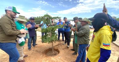 Inicia Plan de Reforestación Chuquisaca en el Zulia con el establecimiento de mil árboles autóctonos Inicia Plan de Reforestación Chuquisaca en el Zulia con el establecimiento de mil árboles autóctonos