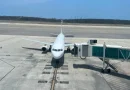Llegan a Venezuela seis menores de edad en un «vuelo especial» desde EE. UU. Llegan a Venezuela seis menores de edad en un «vuelo especial» desde EE. UU.
