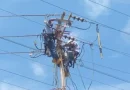 Sistema Eléctrico Nacional activará 600 MV