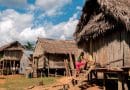 Alerta sanitaria en Amazonas: reportan más de 165 indígenas afectados y tres niños fallecidos