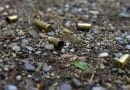 Muere venezolano y un carabinero en violento enfrentamiento a tiros en Chile